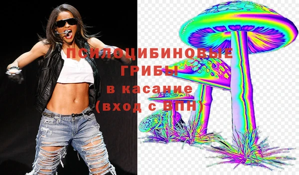 a pvp Алексин