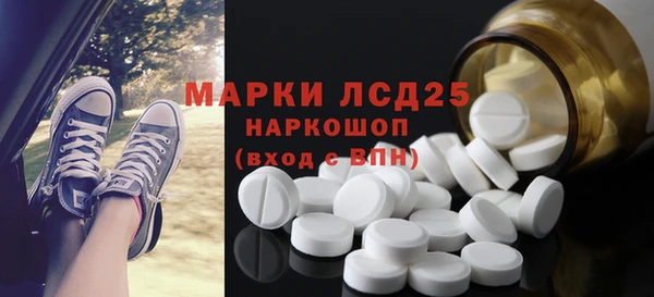 хмурый Абаза
