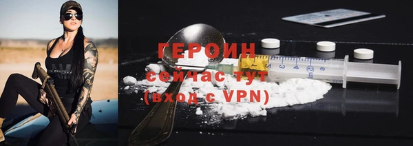 прущие грибы Новый Уренгой