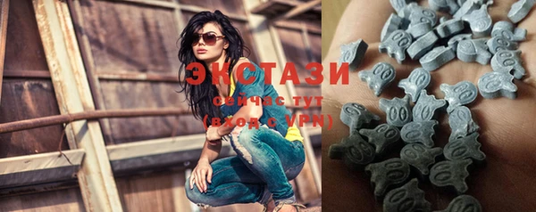 хмурый Абаза