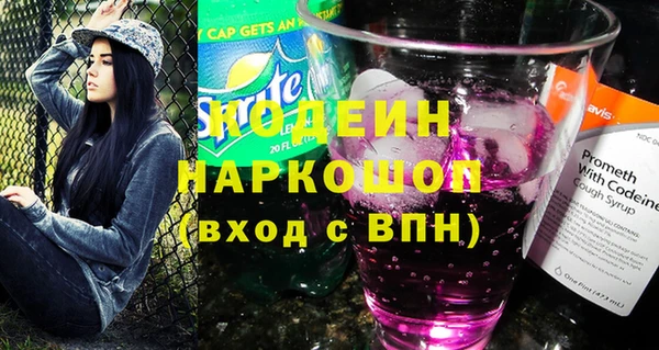 хмурый Абаза