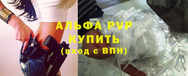 хмурый Абаза