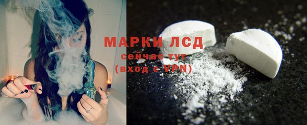 хмурый Абаза