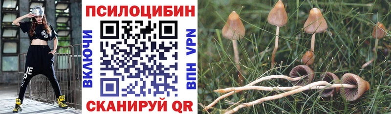 Псилоцибиновые грибы GOLDEN TEACHER Грозный